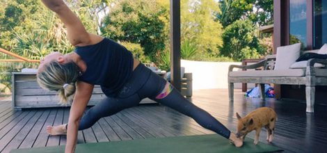 Elsa Pataky haciendo yoga con su cerdita Tina