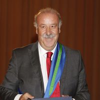 Vicente del Bosque en la entrega de las distinciones al Mérito Deportivo 2011