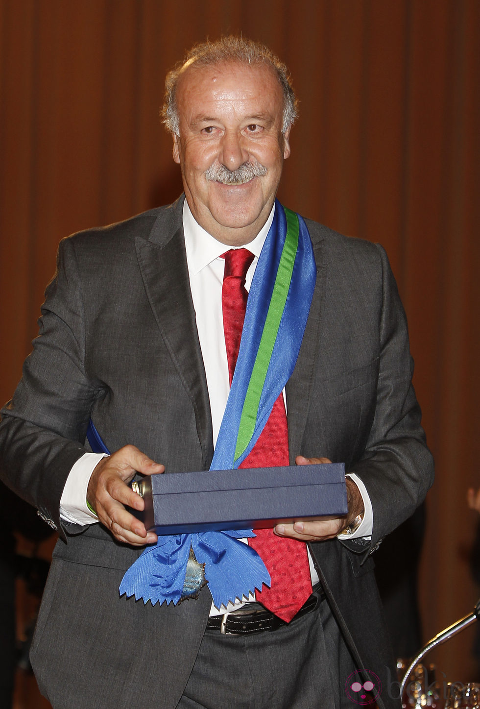 Vicente del Bosque en la entrega de las distinciones al Mérito Deportivo 2011