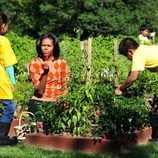 Michelle Obama junto a dos niños en la recogida de la cosecha en la Casa Blanca