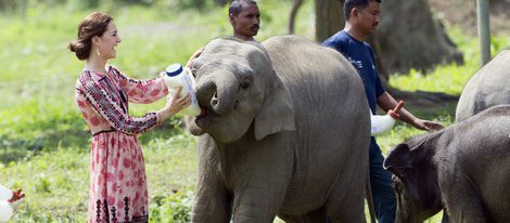 Kate Middleton da el biberón a un cachorro de elefante en La India