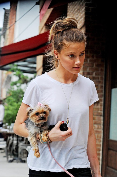 Amber Heard con uno de sus yorkshire