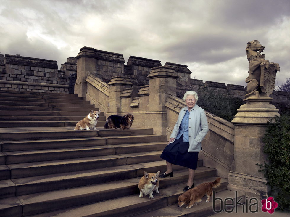 La Reina Isabel II con sus perros en su 90 cumpleaños