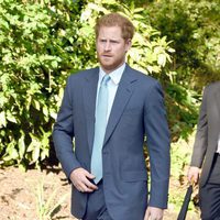 El Príncipe Harry en la Chelsea Flower Show 2016