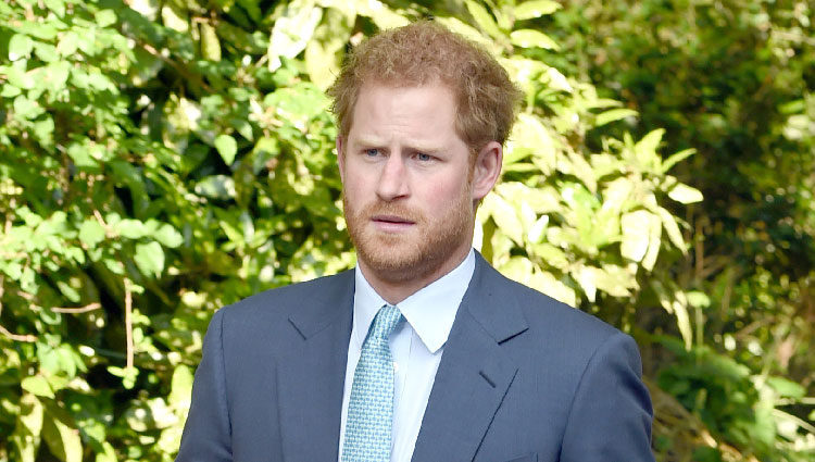 El Príncipe Harry en la Chelsea Flower Show 2016