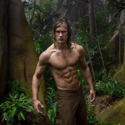 Alexander Skarsgard presume de abdominales