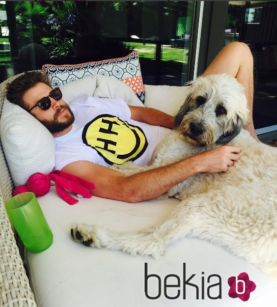 Liam Hemsworth se relaja junto a su perrita Dora