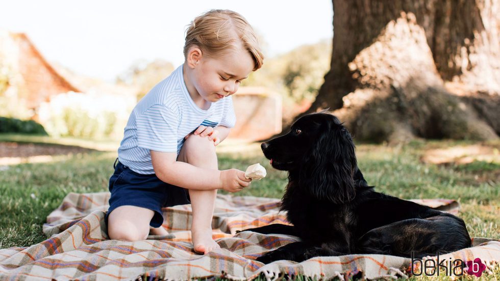 El Príncipe Jorge de Cambridge dando helado a su perro en su tercer cumpleaños