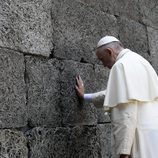 El Papa Francisco reza en la pared de la muerte en excampo de concentración nazi de Auschwitz