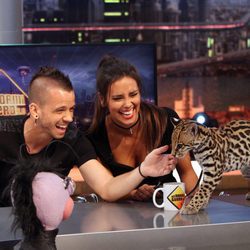 Cristina Pedroche y David Muñoz con un ocelote en 'El hormiguero'