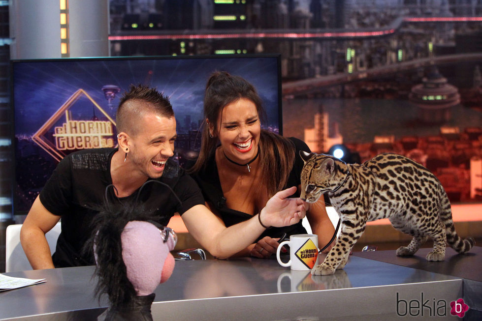 Cristina Pedroche y David Muñoz con un ocelote en 'El hormiguero'