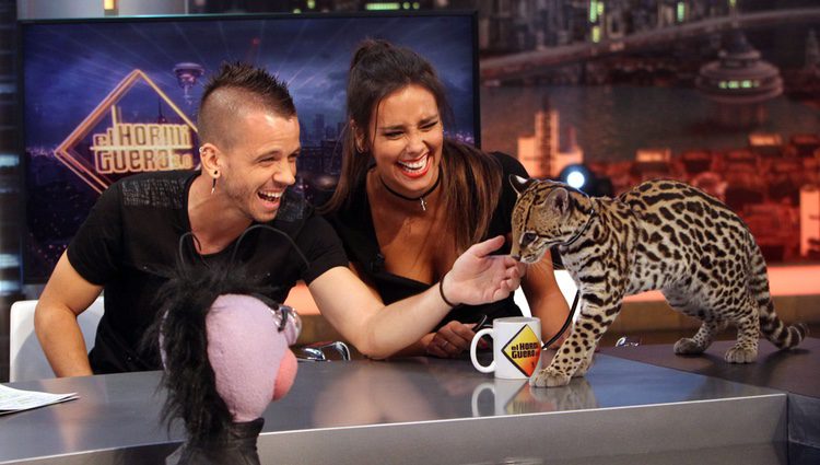 Cristina Pedroche y David Muñoz con un ocelote en 'El hormiguero'